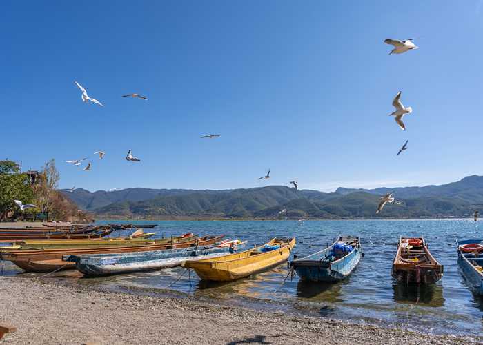 成都租大巴车包车价格全解析，从避*指南到省钱妙招，看这篇就够了！-第2张图片-成都租车公司